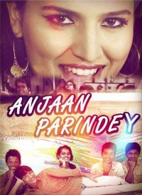 Anjaan Parindey  Title  Lyrics