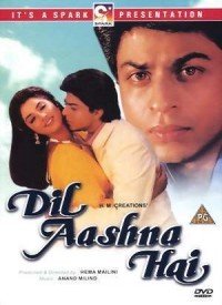 Dil Aashna Hai  Title  Lyrics