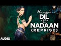 Dil-E-Nadaan  Reprise 