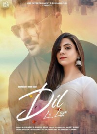 Dil La Liya  Title  Lyrics