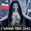 I Wanna Tera Ishq Lyrics