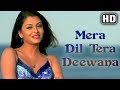 Mera Dil Tera Deewana