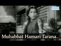 Mohabbat Hamari