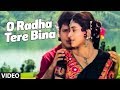 O Radha Tere Bina