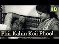 Phir Kahin Koi Phool Khila