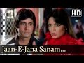 Sanam Tum Jahan Mera Dil Wahan