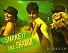 Shake It Like Shammi Lyrics