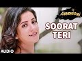 Soorat Teri