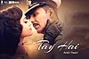 Tay Hai Lyrics