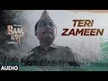 Teri Zameen